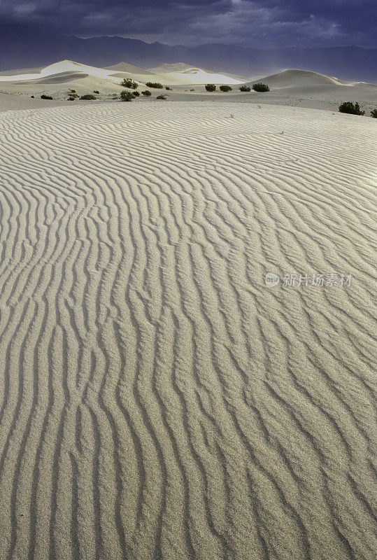 加利福尼亚州死亡谷国家公园的牧豆树平原沙丘。