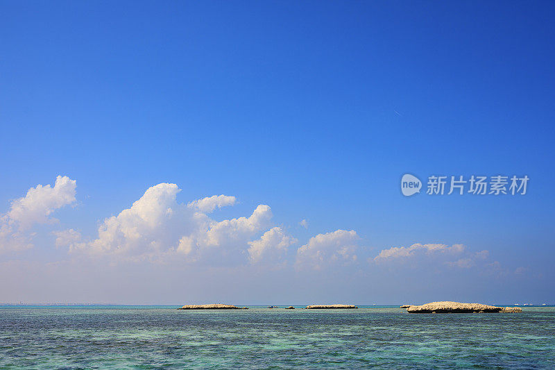 景观珊瑚礁。浮潜和水肺潜水位置。美丽的海洋生物。红海