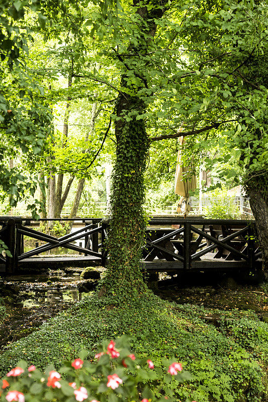 公园里的木桥。