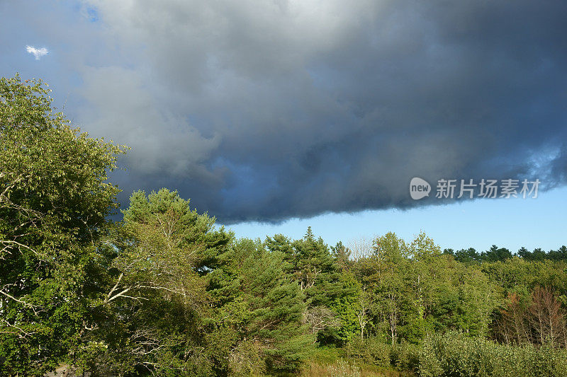 森林上空雷雨