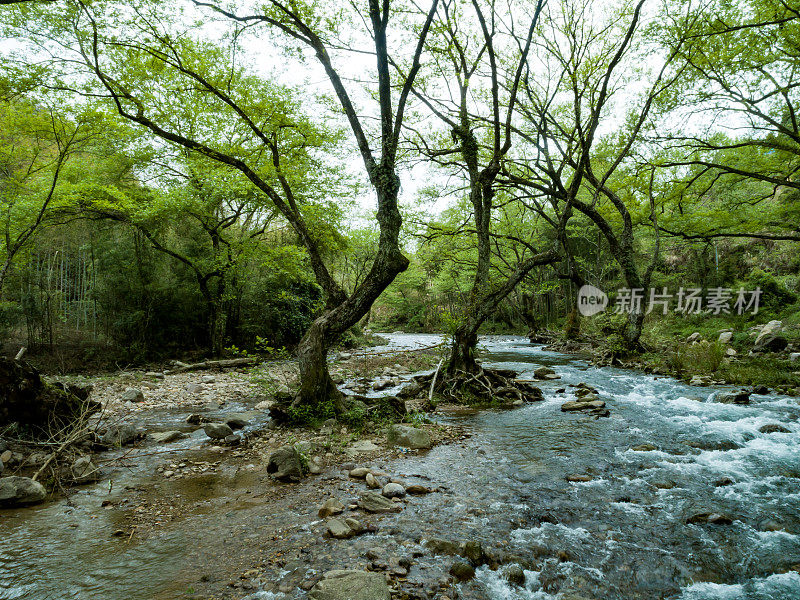 山林溪