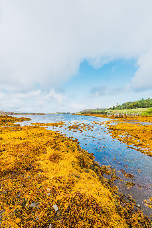 英国苏格兰斯凯岛色彩斑斓的风景