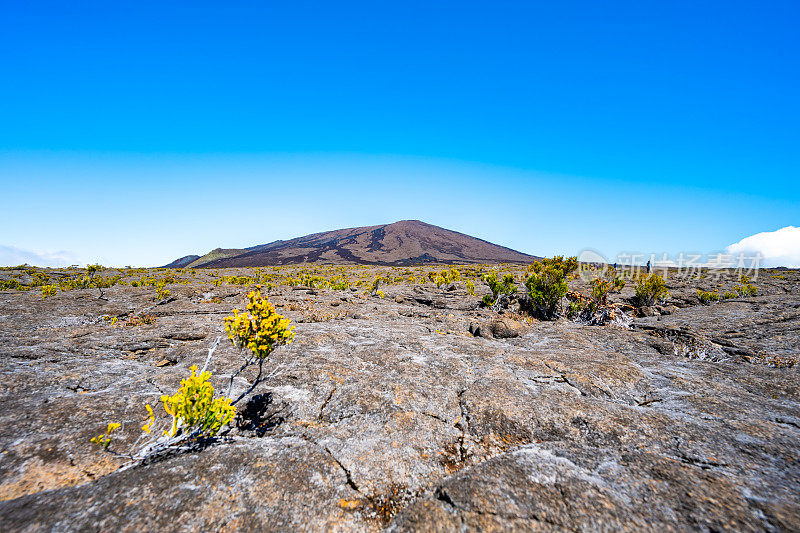 游客们漫步在一个天然的火山景观中，在凝固的熔岩流中间有小灌木丛，在山顶下面有一片现有的火山口。欧洲法国留尼汪岛的富尔奈斯峰。