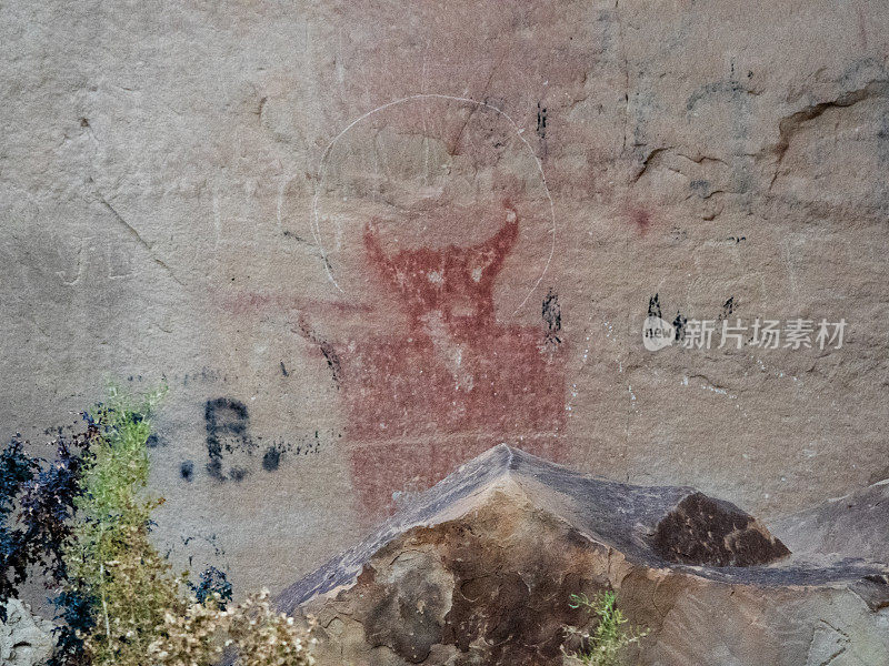 古屏障峡谷风格的象形文字。犹他州汤普森峡谷的Sego站点。