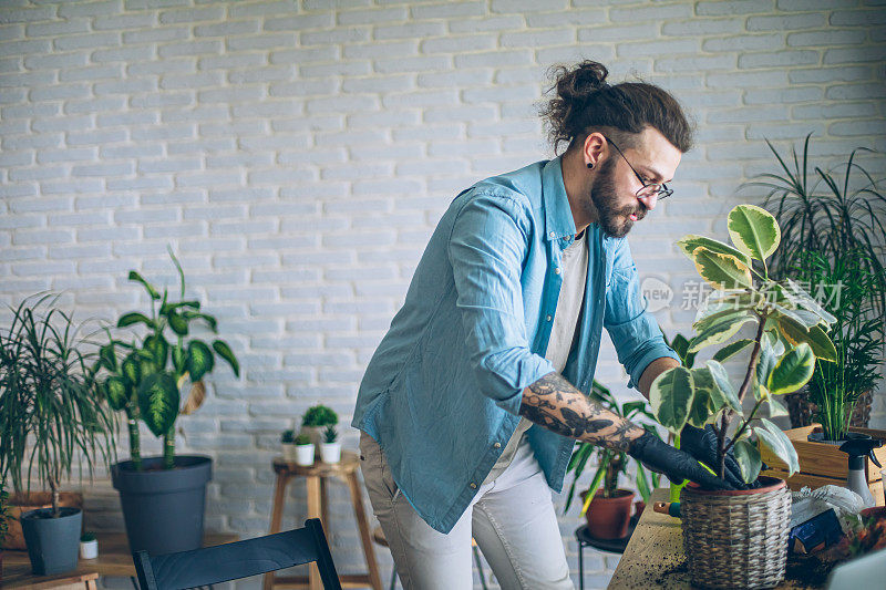 给家里的植物浇水