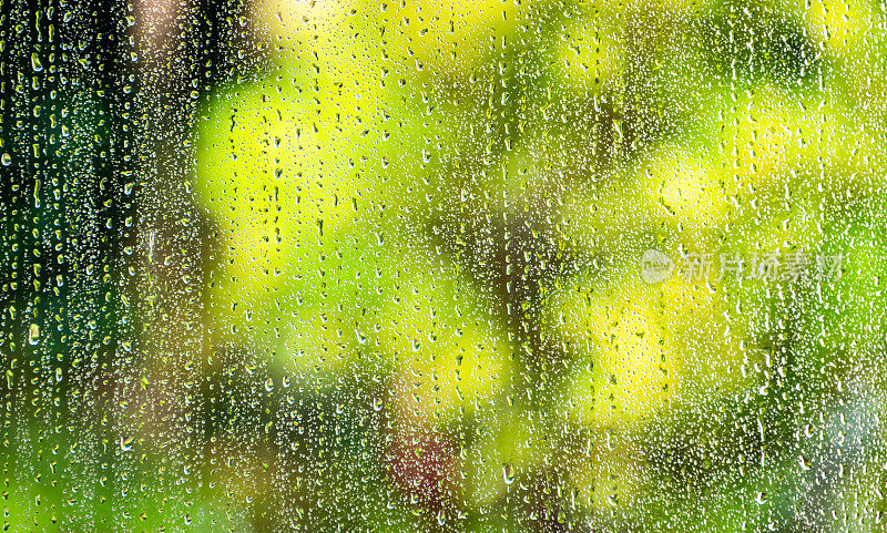 雨水打在带花园的窗户上