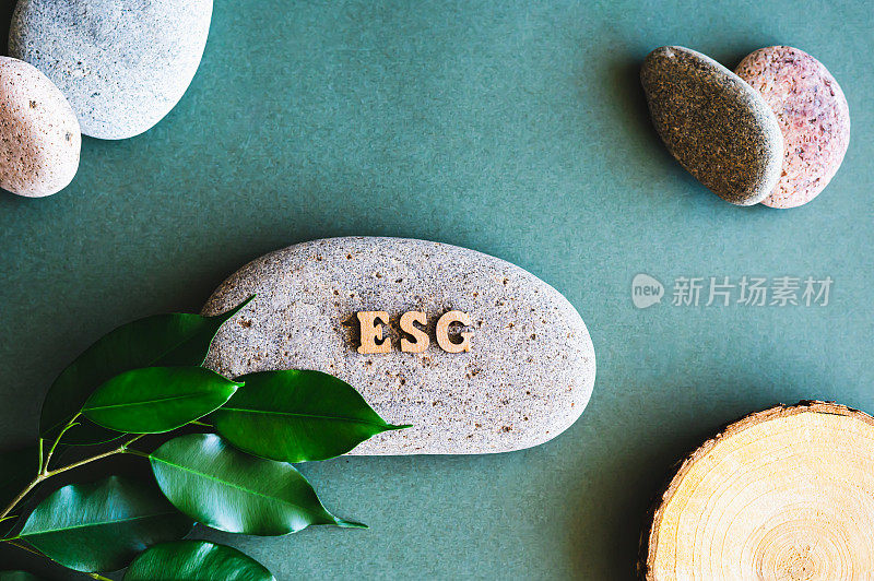 ESG概念木字母，石头，树干和树叶在绿色背景的顶部视图