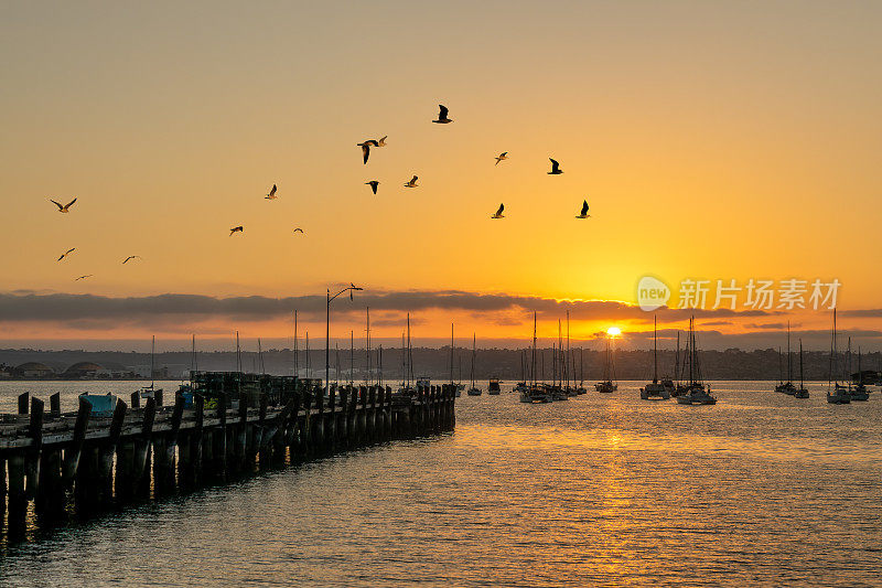 老码头，海鸥和日落时的船只在圣地亚哥，加利福尼亚的港口