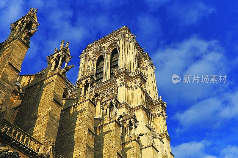 巴黎圣母院大教堂侧视图-日出时的法国建筑-巴黎，法国