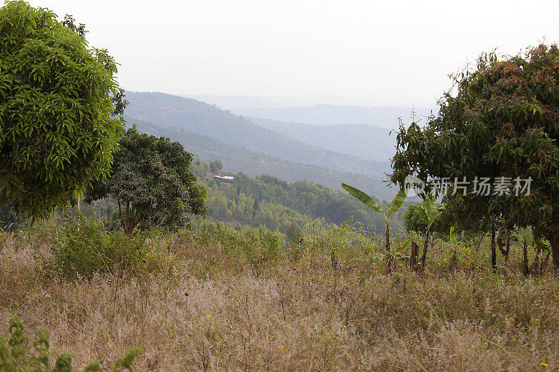 卢旺达基加利南部的乡村