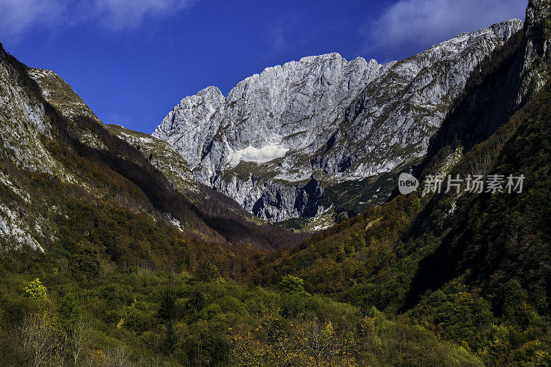 秋天的森林和山脉，Bavšcica山谷，Bovec，朱利安阿尔卑斯山，斯洛文尼亚，欧洲