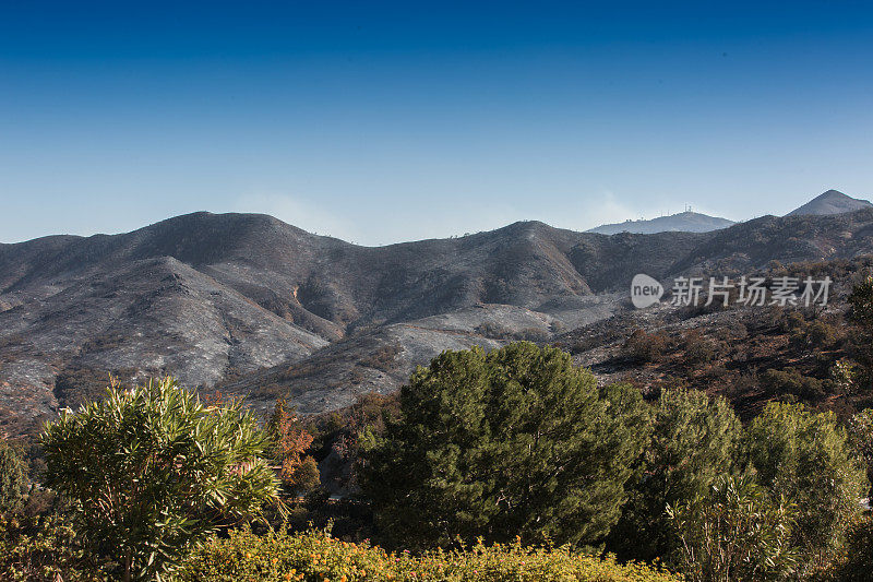 格里菲斯公园野火和伍尔希火灾在加利福尼亚的照片