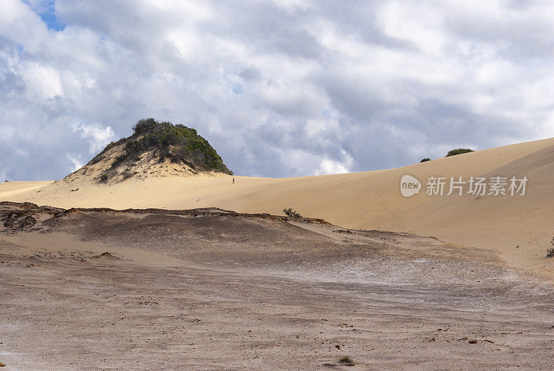 弗雷泽岛