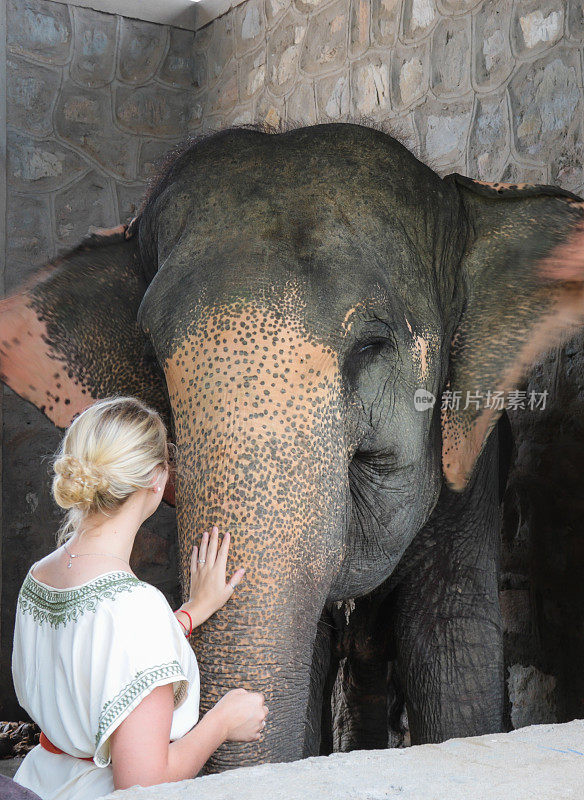 印度斋浦尔的金发女子在画大象