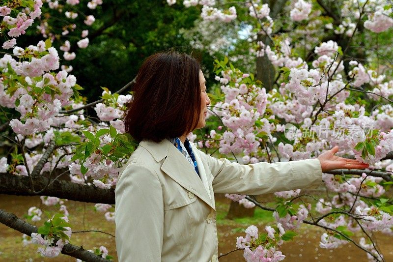 日本女子在东京赏樱花