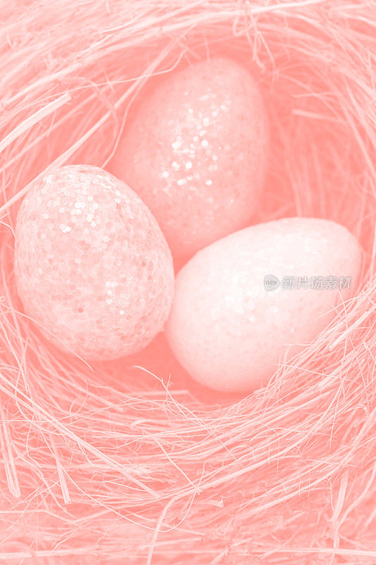 巢中的复活节彩蛋(有色调的图像)
