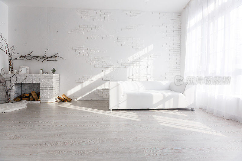 明亮和干净的室内设计的一个豪华客厅，硬木地板，壁炉和沙发
