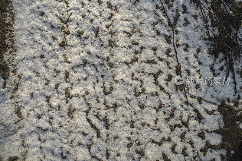 雪地和沙地上有轮胎印