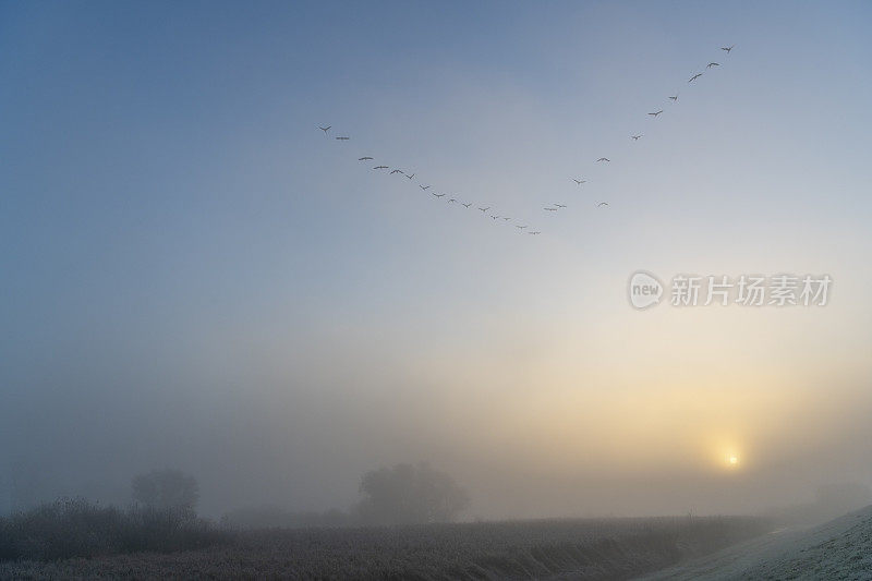在一个雾蒙蒙的秋日的开始，IJsseldelta河上的晨雾日出