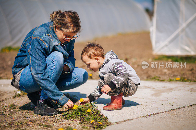 母子在大自然中采摘花草。