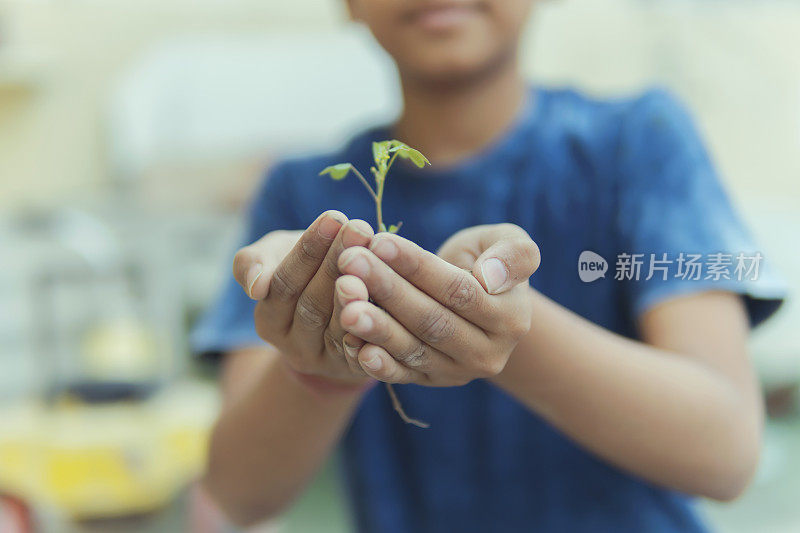 一个男孩重新盆栽植物和玩园艺在家里的屋顶上。