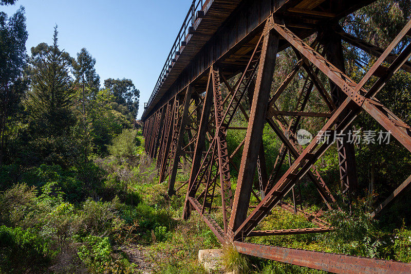 从锈迹斑斑但还能用的铁路高架桥下观看，周围环绕着树木和灌木丛。