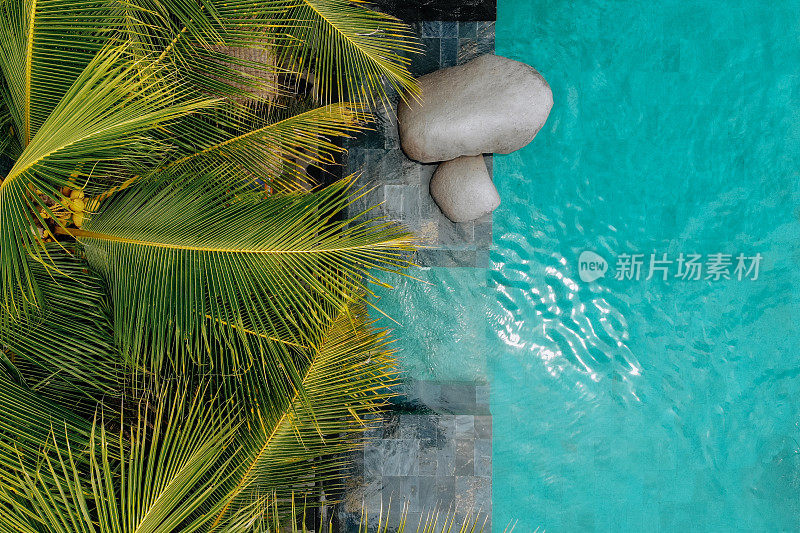 在热带与棕榈树的豪华无限游泳池的顶视图。豪华别墅，游泳池。无人驾驶飞机的照片。本空间