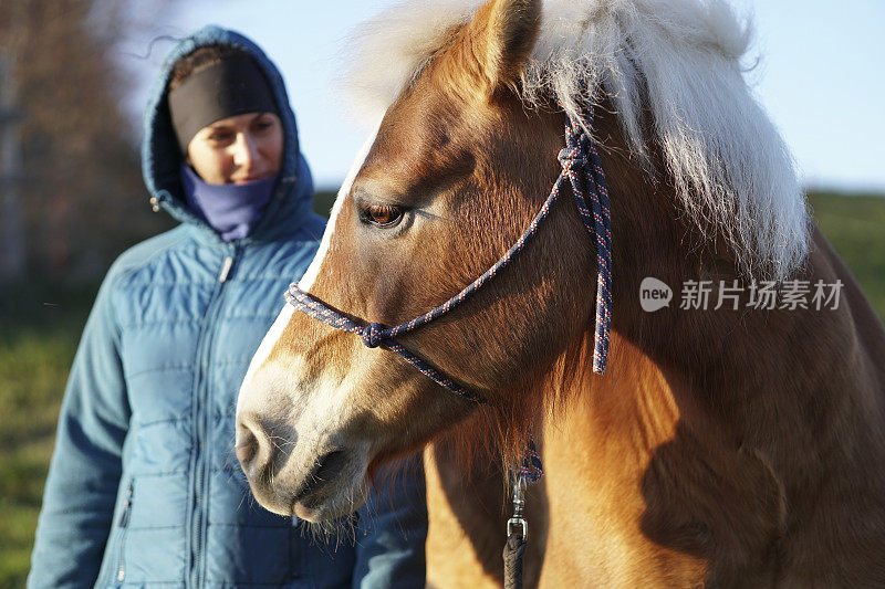 女盛装舞步训练师带领马匹穿过乡村景观