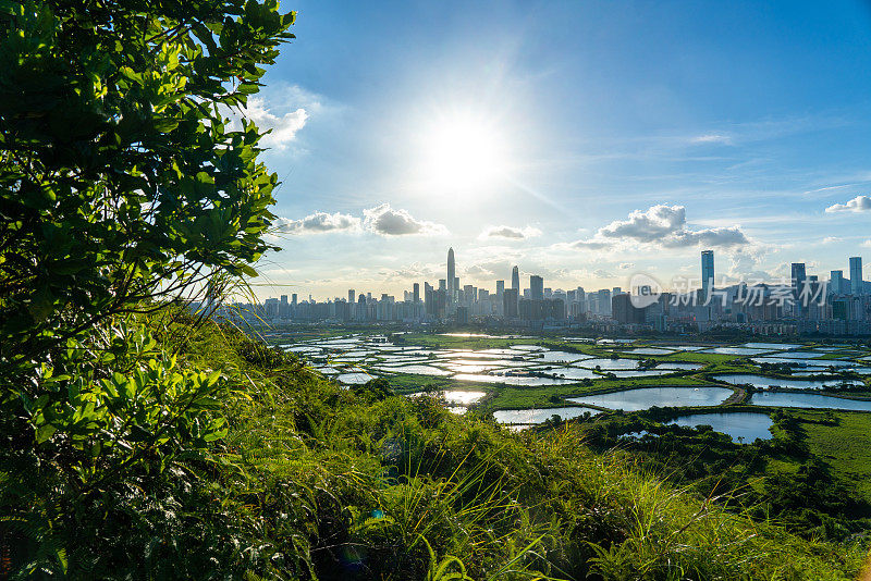 香港边境的乡村绿地景色