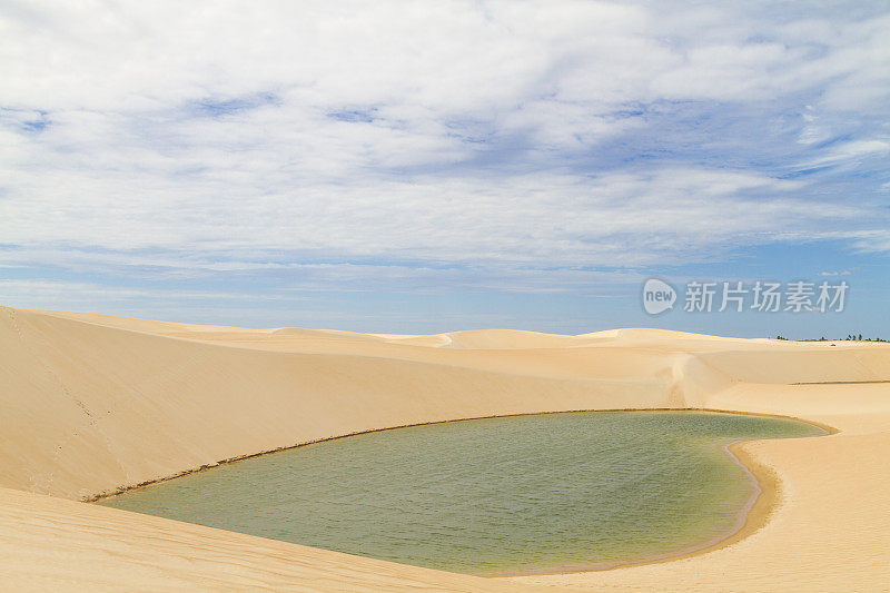 绿松石绿色，翠绿的雨水湖泻湖在一个金黄的沙丘在Jericoacoara，巴西