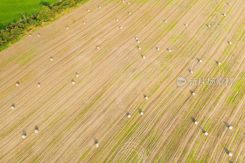 这是苏格兰西南部邓弗里斯和加洛韦的田野里，从无人机上拍摄的高角度鸟瞰图