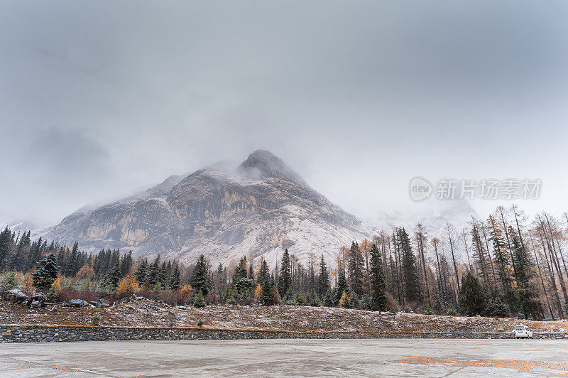 森林和树木景观纹理背景，色彩斑斓的自然景观风景亚丁，香格里拉，中国，西藏山区的秋天