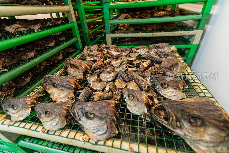 挪威罗浮敦群岛的鳕鱼架:鳕鱼捕鱼业