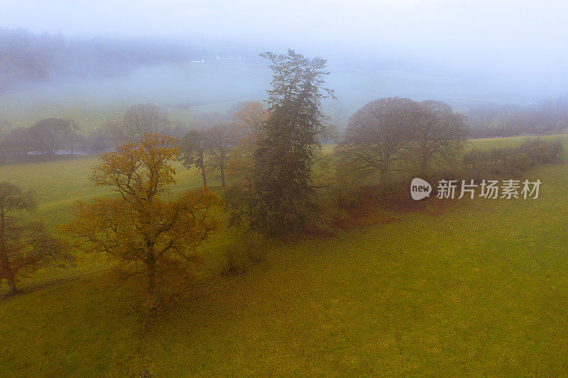 在苏格兰西南部的邓弗里斯和加洛韦，一个雾蒙蒙的早晨，无人机拍摄的树木