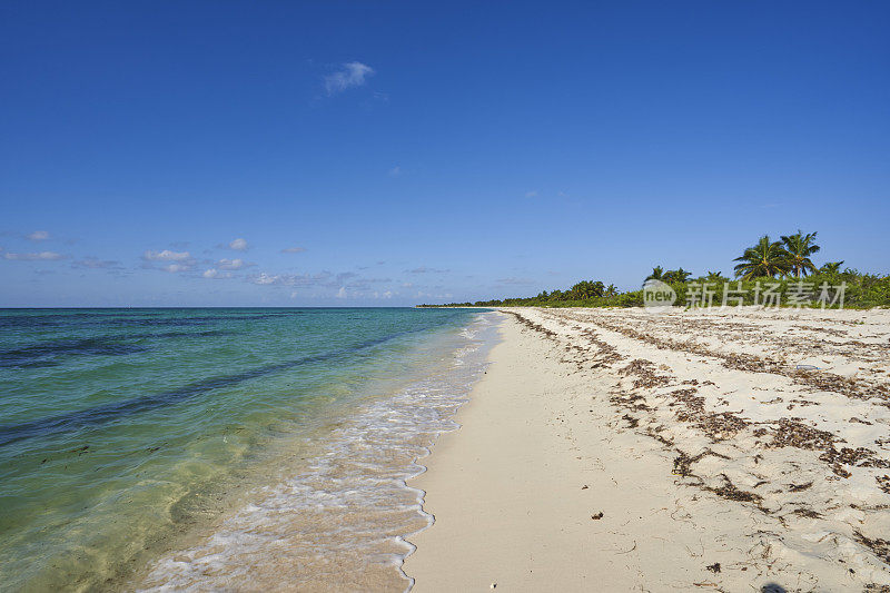 墨西哥尤卡坦半岛科苏梅尔岛加勒比海美丽的海滩