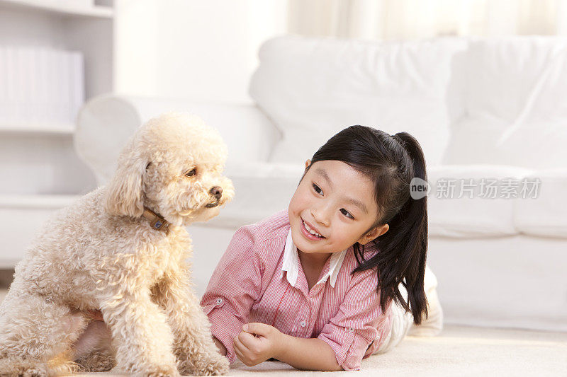 小女孩和泰迪狗玩耍