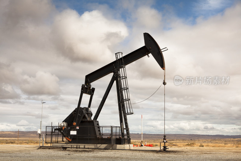 石油工业油井泵