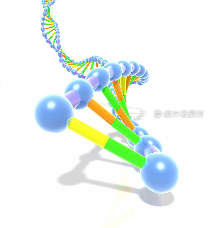 彩色DNA螺旋链