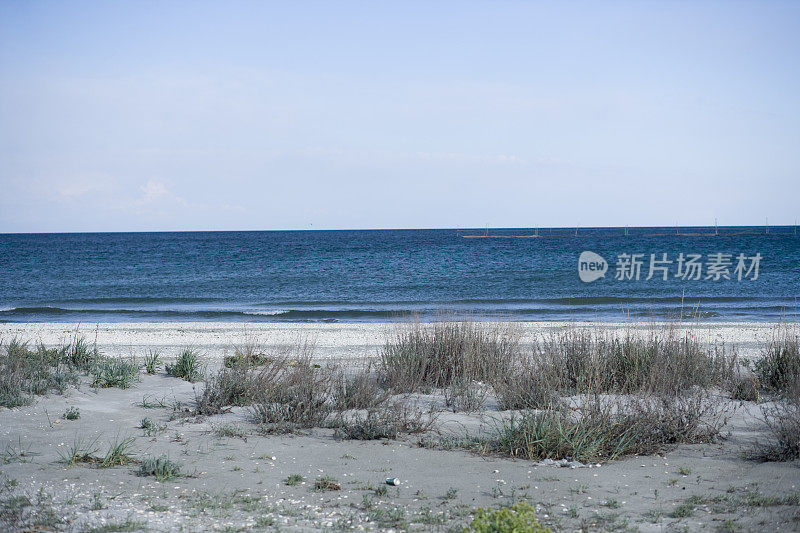 野生的海滩