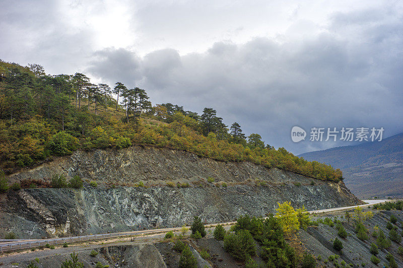 土耳其sakarya附近松林旁的路