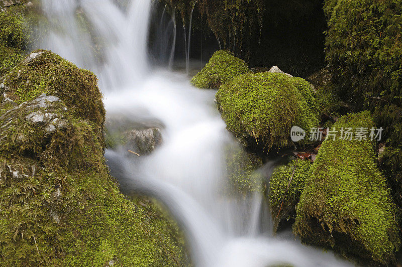 淡水