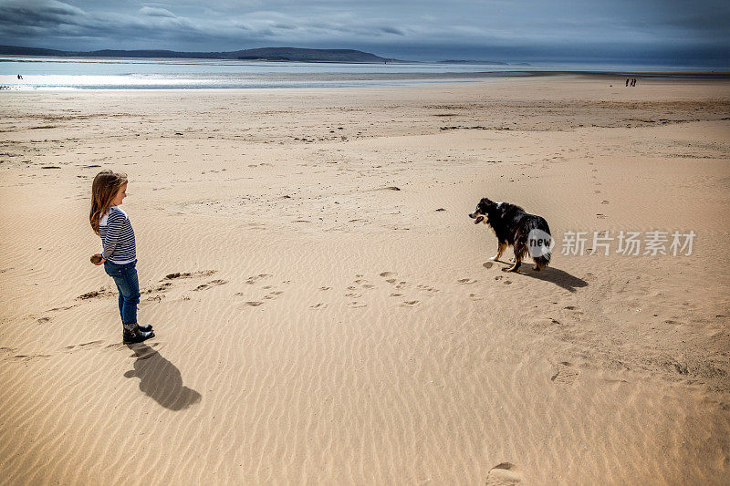 6岁小女孩和她的狗在海滩上