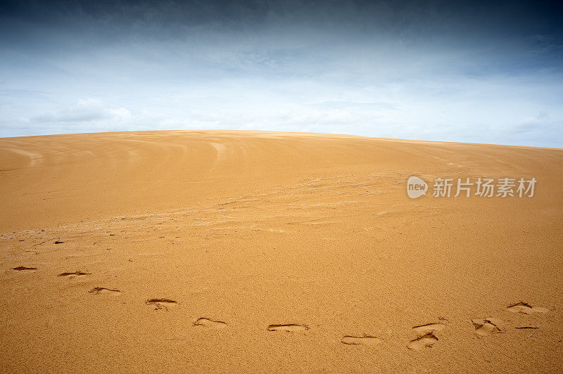 沙丘上的脚印