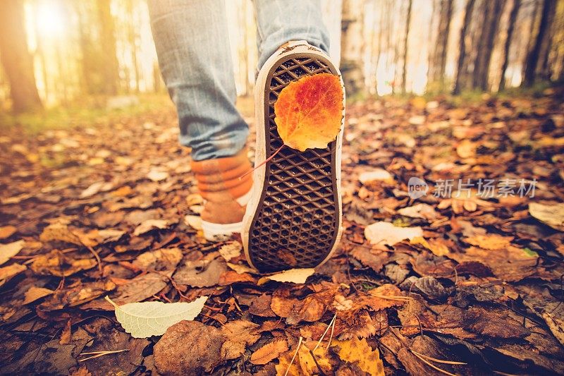 脚运动鞋走在秋叶户外秋天季节