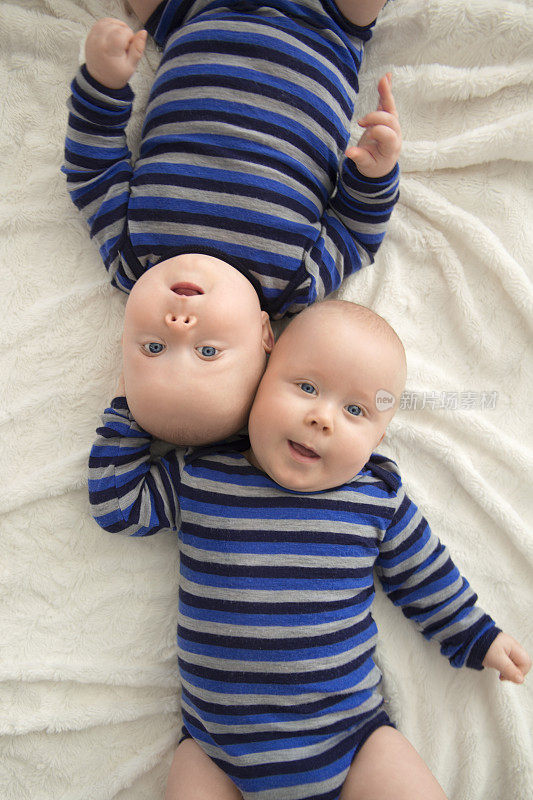 倒置的同卵双胞胎