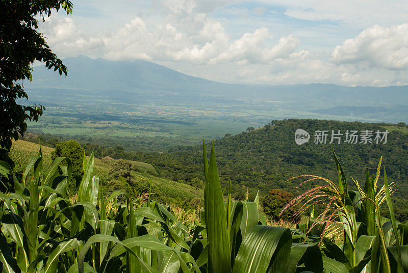 穿过玉米地可以看到圣萨尔瓦多附近的火山