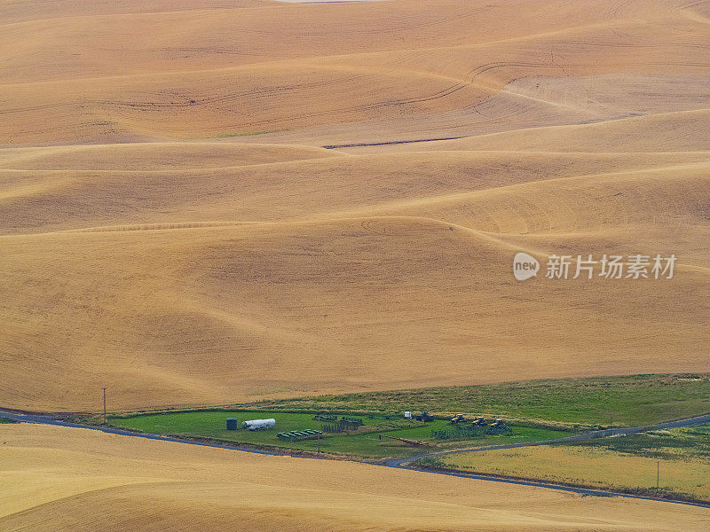 秋天的麦田，帕卢斯，美国WA