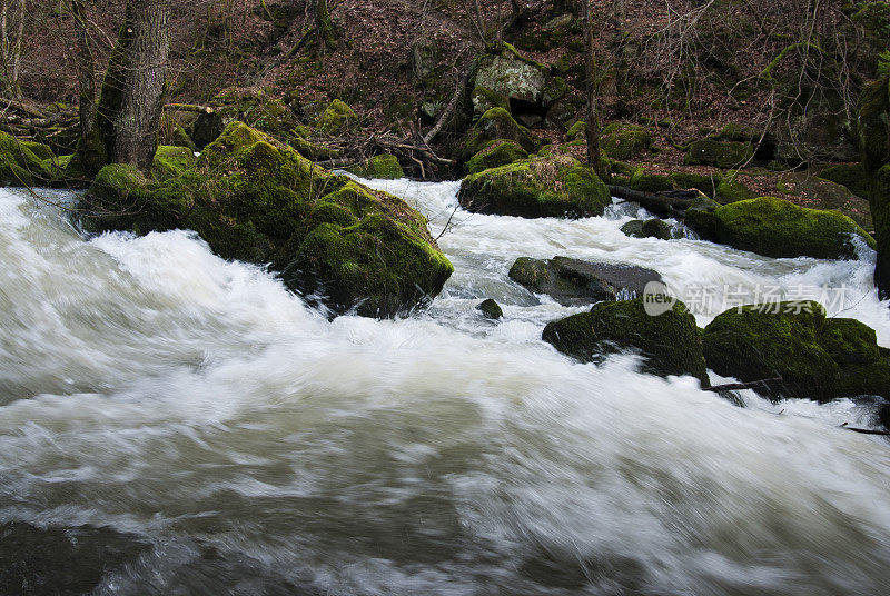 狂暴的河水Prüm在南艾菲尔自然的急流