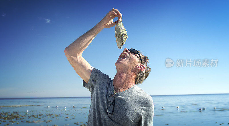 在加利福尼亚的索尔顿海滩上吃死鱼