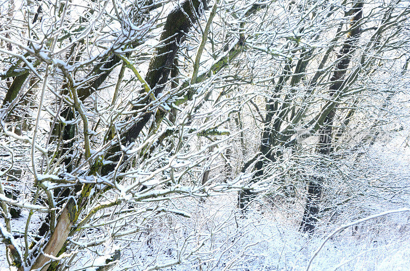 降雪在斯堪的那维亚